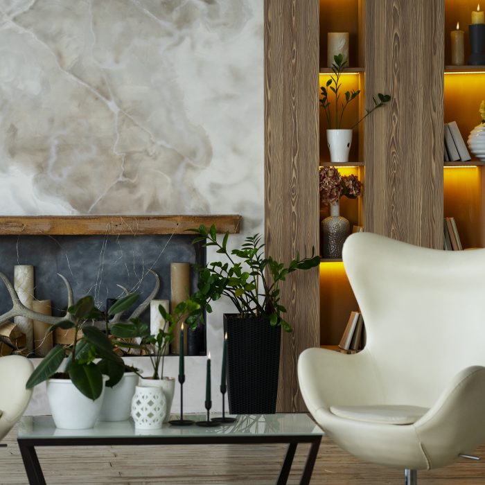 interior-room-design-with-armchair-potted-plants